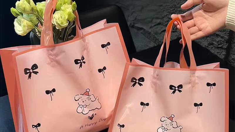 ظهور أكياس التسوق القابلة لإعادة الاستخدام