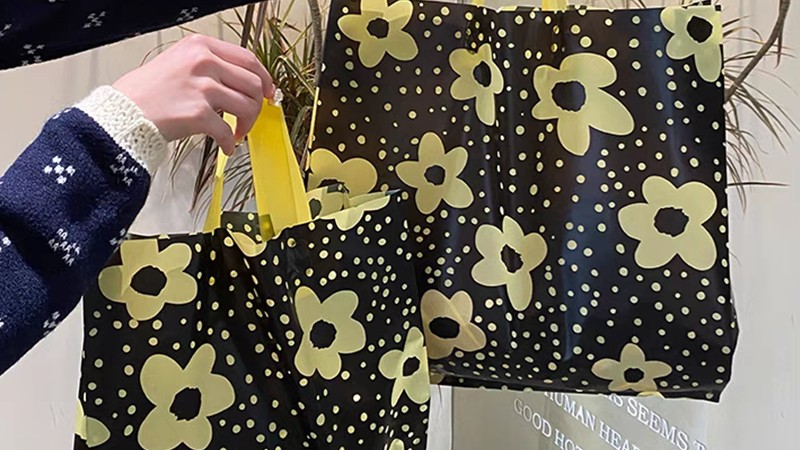 وجهة نظر عقلانية: الحقيقة 